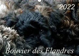 Kalender Bouvier des Flandres (Wandkalender 2022 DIN A3 quer) von Susan Milau