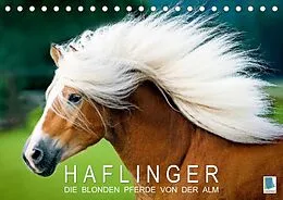 Kalender Haflinger: Die blonden Pferde von der Alm (Tischkalender 2022 DIN A5 quer) von CALVENDO