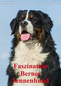Kalender Faszination Berner Sennenhund (Tischkalender 2022 DIN A5 hoch) von Sigrid Starick