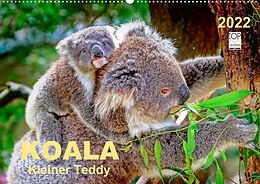 Kalender Koala - kleiner Teddy (Wandkalender 2022 DIN A2 quer) von Peter Roder