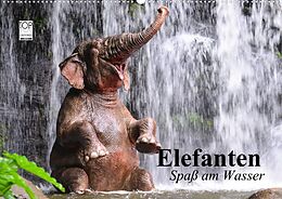 Kalender Elefanten. Spaß am Wasser (Wandkalender 2022 DIN A2 quer) von Elisabeth Stanzer