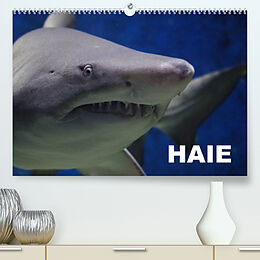Kalender Haie (Premium, hochwertiger DIN A2 Wandkalender 2022, Kunstdruck in Hochglanz) von Elisabeth Stanzer