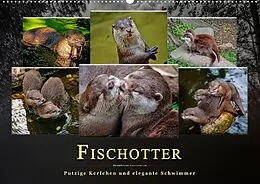 Kalender Fischotter - putzige Kerlchen und elegante Schwimmer (Wandkalender 2022 DIN A2 quer) von Peter Roder