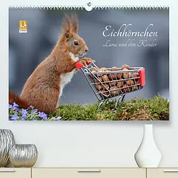 Kalender Eichhörnchen Luna und ihre Kinder (Premium, hochwertiger DIN A2 Wandkalender 2022, Kunstdruck in Hochglanz) von Tine Meier