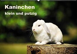 Kalender Kaninchen klein und putzig (Premium, hochwertiger DIN A2 Wandkalender 2022, Kunstdruck in Hochglanz) von Yvonne Janetzek
