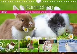 Kalender Kaninchen. Putzig, flauschig und geliebt (Wandkalender 2022 DIN A4 quer) von Rose Hurley