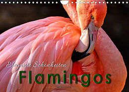 Kalender Flamingos - elegante Schönheiten (Wandkalender 2022 DIN A4 quer) von Peter Roder