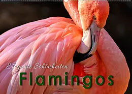 Kalender Flamingos - elegante Schönheiten (Wandkalender 2022 DIN A2 quer) von Peter Roder