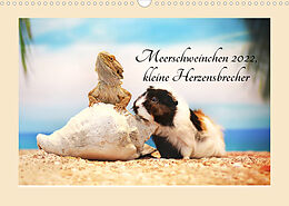 Kalender Meerschweinchen 2022, kleine Herzensbrecher (Wandkalender 2022 DIN A3 quer) von Anja Foto Grafia Fotografie