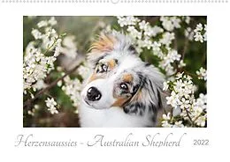 Kalender Herzensaussies - Australian Shepherd (Premium, hochwertiger DIN A2 Wandkalender 2022, Kunstdruck in Hochglanz) von Madlen Kudla