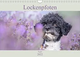 Kalender Lockenpfoten 2022 (Wandkalender 2022 DIN A4 quer) von Sabine Böke-Bergau