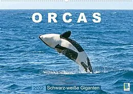 Kalender Orcas: Schwarz-weiße Giganten (Premium, hochwertiger DIN A2 Wandkalender 2022, Kunstdruck in Hochglanz) von CALVENDO