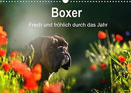 Kalender Boxer Frech und fröhlich durch das Jahr (Wandkalender 2022 DIN A3 quer) von Yvonne Janetzek