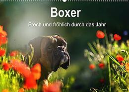 Kalender Boxer Frech und fröhlich durch das Jahr (Wandkalender 2022 DIN A2 quer) von Yvonne Janetzek