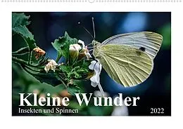 Kalender Kleine Wunder - Insekten und Spinnen (Premium, hochwertiger DIN A2 Wandkalender 2022, Kunstdruck in Hochglanz) von Michael Schöne