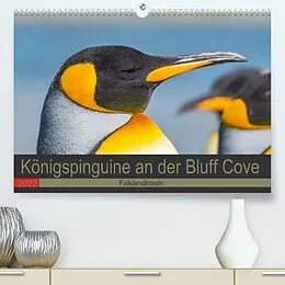 Kalender Königspinguine an der Bluff Cove (Premium, hochwertiger DIN A2 Wandkalender 2022, Kunstdruck in Hochglanz) von Norbert W. Saul