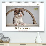 Kalender Kätzchen-Kalender mit Sprüchen (Premium, hochwertiger DIN A2 Wandkalender 2022, Kunstdruck in Hochglanz) von Martina Wrede - Wredefotografie
