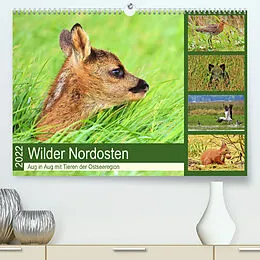 Kalender Wilder Nordosten - Aug in Aug mit Tieren der Ostseeregion (Premium, hochwertiger DIN A2 Wandkalender 2022, Kunstdruck in Hochglanz) von René Schaack