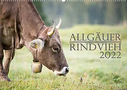 Kalender Allgäuer Rindvieh 2022 (Wandkalender 2022 DIN A2 quer) von Juliane Wandel