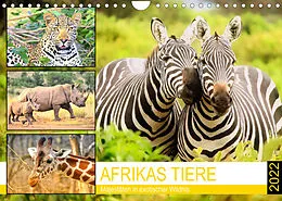 Kalender Afrikas Tiere. Majestäten in exotischer Wildnis (Wandkalender 2022 DIN A4 quer) von Rose Hurley