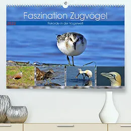 Kalender Faszination Zugvögel - Rekorde in der Vogelwelt (Premium, hochwertiger DIN A2 Wandkalender 2022, Kunstdruck in Hochglanz) von René Schaack