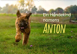 Kalender Ein Hundekind namens Anton (Wandkalender 2022 DIN A2 quer) von Christiane Calmbacher
