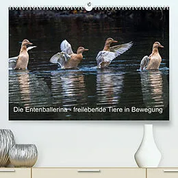 Kalender Die Entenballerina - freilebende Tiere in Bewegung (Premium, hochwertiger DIN A2 Wandkalender 2022, Kunstdruck in Hochglanz) von Bruno Pohl