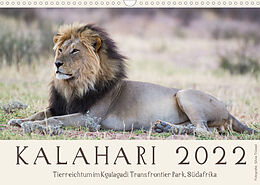 Kalender Kalahari - Tierreichtum im Kgalagadi Transfrontier Park, Südafrika (Wandkalender 2022 DIN A3 quer) von Silvia Trüssel