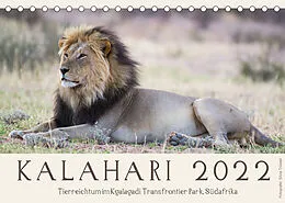 Kalender Kalahari - Tierreichtum im Kgalagadi Transfrontier Park, Südafrika (Tischkalender 2022 DIN A5 quer) von Silvia Trüssel