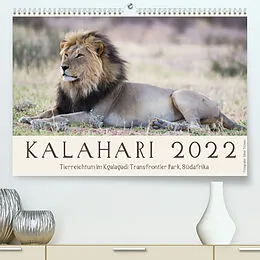Kalender Kalahari - Tierreichtum im Kgalagadi Transfrontier Park, Südafrika (Premium, hochwertiger DIN A2 Wandkalender 2022, Kunstdruck in Hochglanz) von Silvia Trüssel