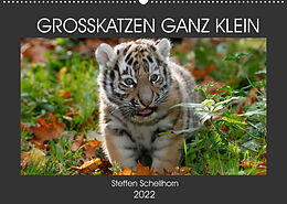 Kalender GROSSKATZEN GANZ KLEIN (Wandkalender 2022 DIN A2 quer) von Steffen Schellhorn