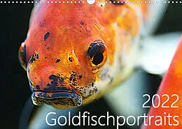 Kalender Goldfischportraits (Wandkalender 2022 DIN A3 quer) von Hanne Wirtz