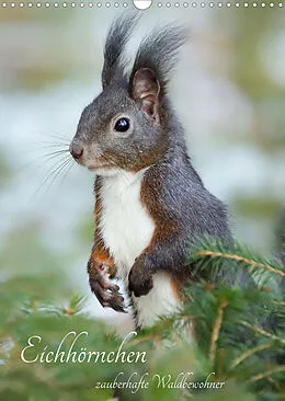 Kalender Eichhörnchen - zauberhafte Waldbewohner (Wandkalender 2022 DIN A3 hoch) von Angela Merk
