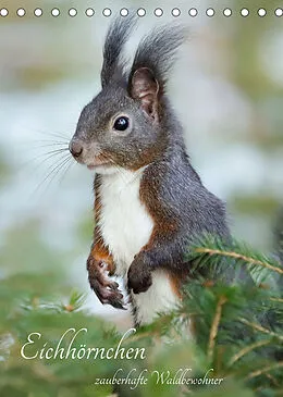 Kalender Eichhörnchen - zauberhafte Waldbewohner (Tischkalender 2022 DIN A5 hoch) von Angela Merk