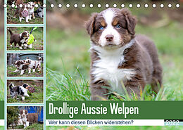 Kalender Drollige Aussie Welpen (Tischkalender 2022 DIN A5 quer) von Fotodesign Verena Scholze