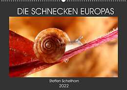 Kalender DIE SCHNECKEN EUROPAS (Wandkalender 2022 DIN A2 quer) von Steffen Schellhorn