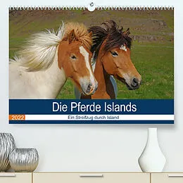 Kalender Die Pferde Islands - Ein Streifzug durch Island (Premium, hochwertiger DIN A2 Wandkalender 2022, Kunstdruck in Hochglanz) von Reinhard Pantke