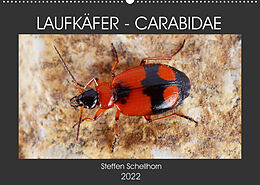 Kalender LAUFKÄFER - CARABIDAE (Wandkalender 2022 DIN A2 quer) von Steffen Schellhorn