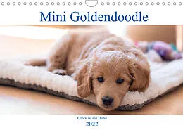 Kalender Mini Goldendoodle - Glück ist ein Hund (Wandkalender 2022 DIN A4 quer) von Stephan Schulz