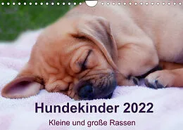 Kalender Hundekinder 2022 - Kleine und große Rassen (Wandkalender 2022 DIN A4 quer) von Heidi Bollich