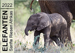 Kalender Elefanten - Sanfte Riesen Afrikas (Wandkalender 2022 DIN A2 quer) von Silvia Trüssel