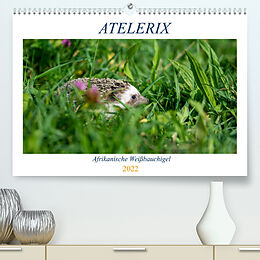 Kalender Atelerix - Afrikanische Weißbauchigel (Premium, hochwertiger DIN A2 Wandkalender 2022, Kunstdruck in Hochglanz) von Marina Zimmermann