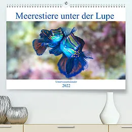 Kalender Meerestiere unter der Lupe - Unterwasserkalender (Premium, hochwertiger DIN A2 Wandkalender 2022, Kunstdruck in Hochglanz) von Sven Gruse
