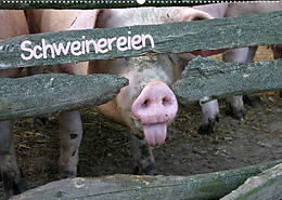 Kalender Schweinereien (Wandkalender 2022 DIN A2 quer) von Martina Berg