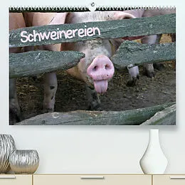 Kalender Schweinereien (Premium, hochwertiger DIN A2 Wandkalender 2022, Kunstdruck in Hochglanz) von Martina Berg