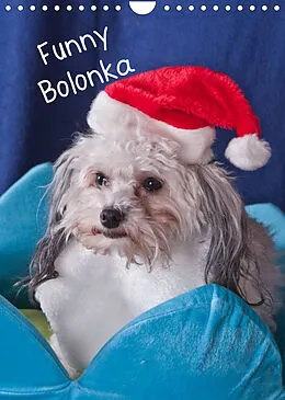 Kalender Funny Bolonka (Wandkalender 2022 DIN A4 hoch) von weh-zet