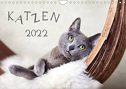 Kalender Katzen 2022 (Wandkalender 2022 DIN A4 quer) von Nailia Schwarz