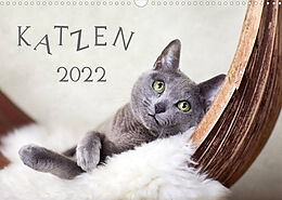 Kalender Katzen 2022 (Wandkalender 2022 DIN A3 quer) von Nailia Schwarz