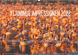 Kalender Flamingo Impressionen 2022 (Wandkalender 2022 DIN A2 quer) von Ingo Gerlach