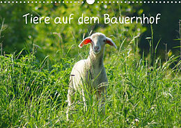Kalender Tiere auf dem Bauernhof (Wandkalender 2022 DIN A3 quer) von kattobello